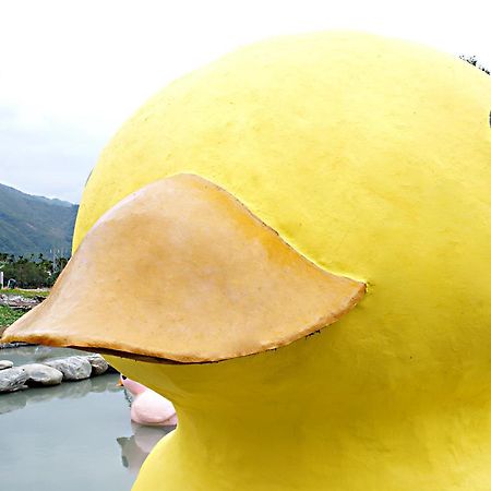 루이수이 依比鴨鴨水岸會館 Ducking House B&B 외부 사진