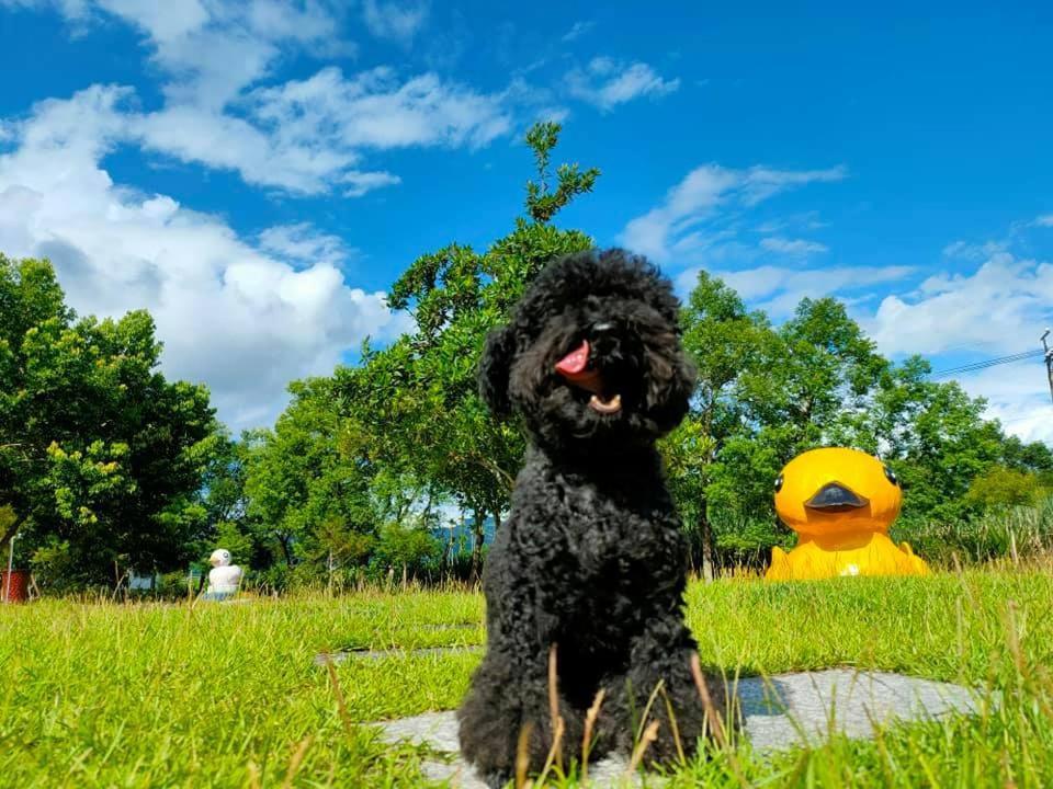루이수이 依比鴨鴨水岸會館 Ducking House B&B 외부 사진